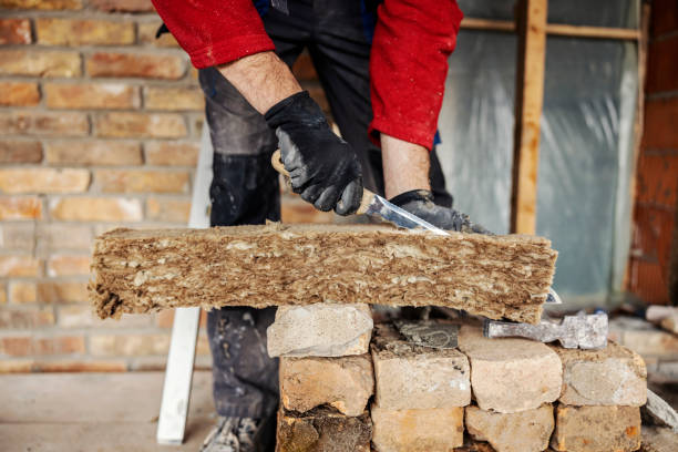 Best Insulation Contractor Near Me  in Rankin, TX
