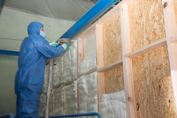 Insulation Inspection Services in Rankin, TX